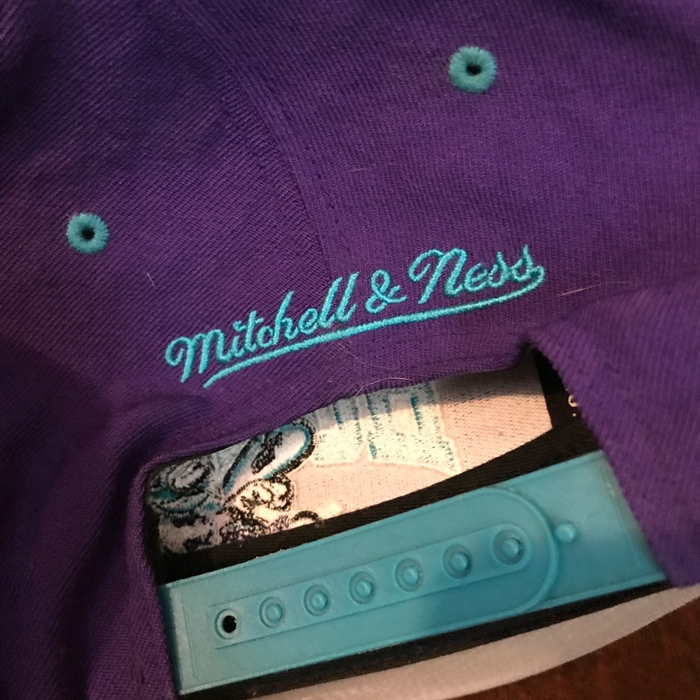 Charlotte hornets hat